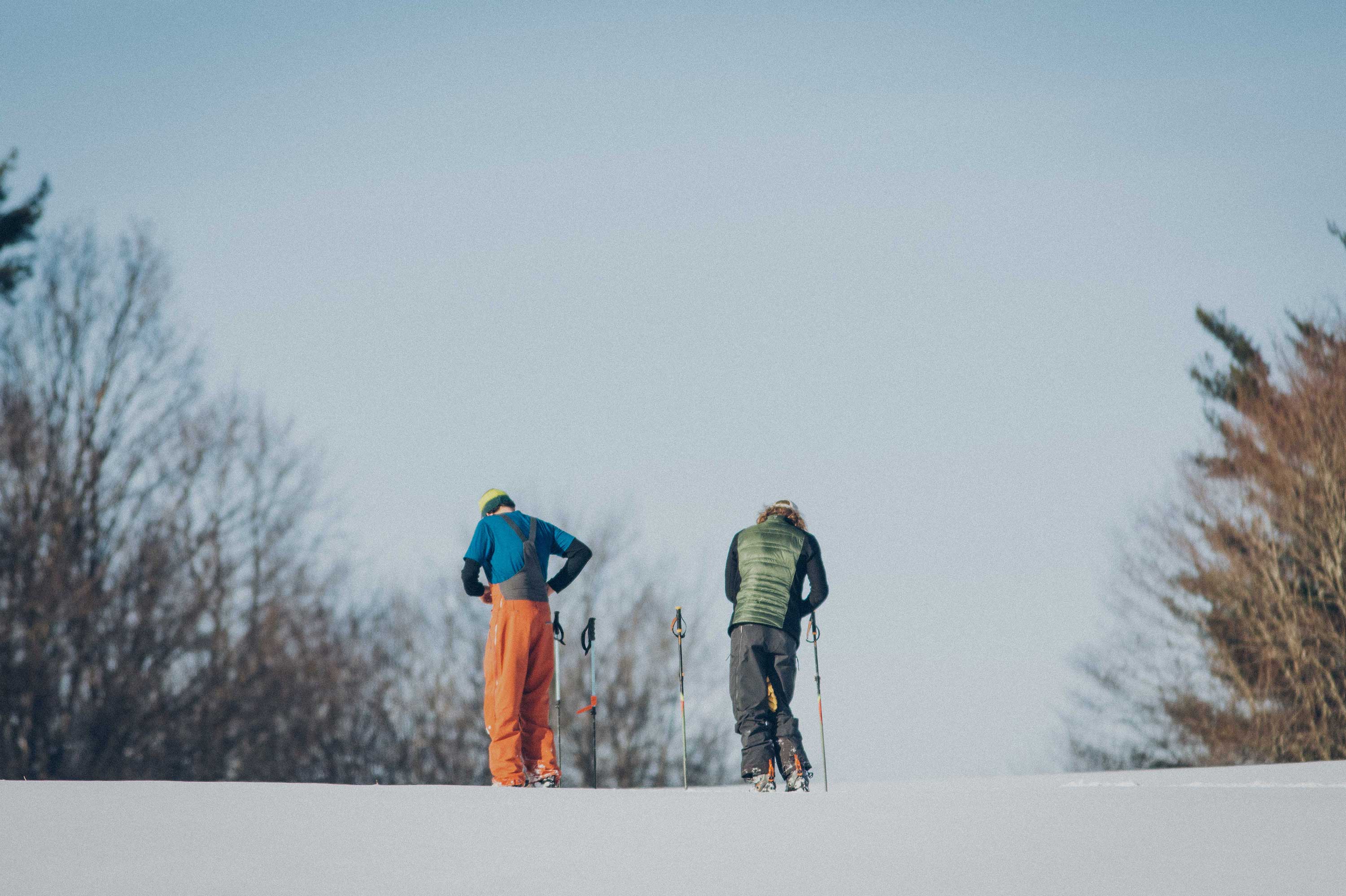 メリノウールについて - 通年使えるメリノ | ibex – ibex Japan